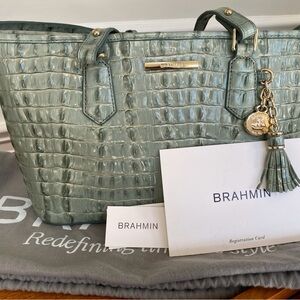Brahmin- Mini Asher